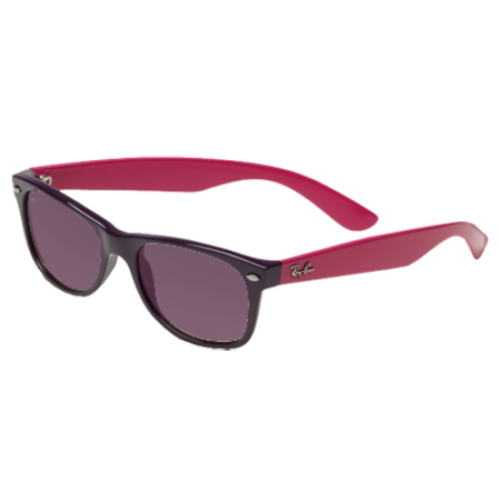 Ray-Ban 'Wayfarer' Sunglasses