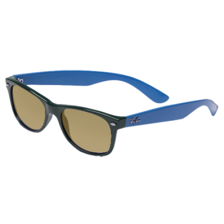Ray-Ban 'Wayfarer' Sunglasses